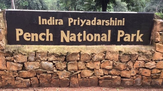 Pench Jungle