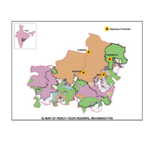 Pench Jungle