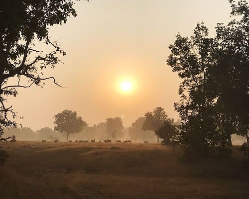 Jamtara gate pench