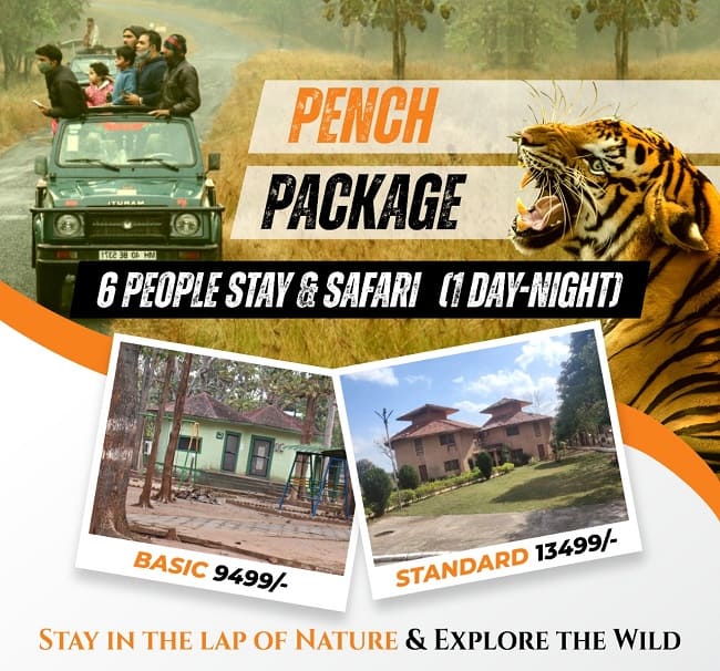 Pench safari contact number