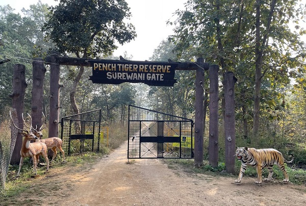Surewani gate pench