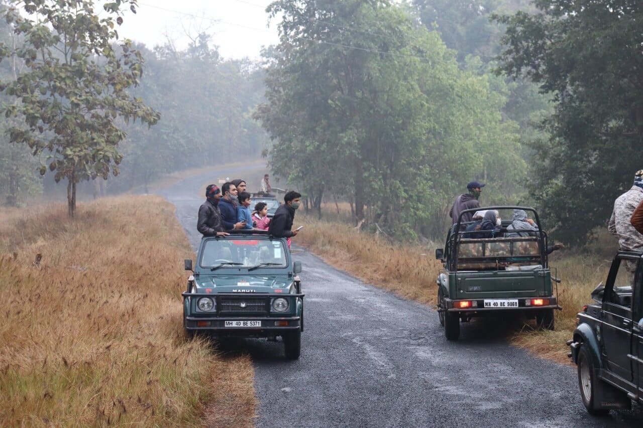 Jungle safari booking at Pench
